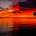 Florida Keys Photograph by Raul Rodriguez Florida Keys Photograph by Raul Rodriguez