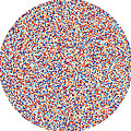 13689 digits of Pi Digital Art by Martin Krzywinski 13689 digits of Pi Digital Art by Martin Krzywinski