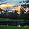 15th Green at Hollybrook Photograph by Ed Gleichman 15th Green at Hollybrook Photograph by Ed Gleichman