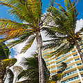 Miami Beach Photograph by Raul Rodriguez Miami Beach Photograph by Raul Rodriguez