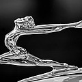 1934 Buick Goddess Hood Ornament -174BW Photograph by Jill Reger 1934 Buick Goddess Hood Ornament -174BW Photograph by Jill Reger
