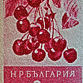 1956 Bulgarian Wild Cherry Stamp by Bill Owen 1956 Bulgarian Wild Cherry Stamp by Bill Owen