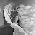 1960s Eagle Statue Against Sky Clouds by Vintage Images 1960s Eagle Statue Against Sky Clouds by Vintage Images