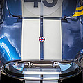 1966 Blue Ford AC Cobra 427 X334 by Rich Franco