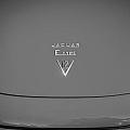 1975 Jaguar XKE V12 Hood Ornament Painted BW Photograph by Rich Franco 1975 Jaguar XKE V12 Hood Ornament Painted BW Photograph by Rich Franco