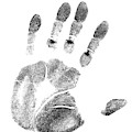 1980s Left Hand Palm Print On White by Vintage Images 1980s Left Hand Palm Print On White by Vintage Images