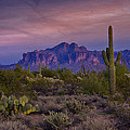 A Beautiful Desert Evening by Saija Lehtonen A Beautiful Desert Evening by Saija Lehtonen