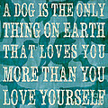 A Dog by Debbie DeWitt A Dog by Debbie DeWitt