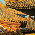 China Forbidden City Roof Decoration Photograph by Sebastian Musial China Forbidden City Roof Decoration Photograph by Sebastian Musial
