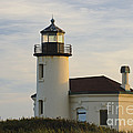 Coquille River Lighthouse Photograph by John Shaw Coquille River Lighthouse Photograph by John Shaw