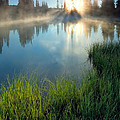 First Light by Mike Dawson First Light by Mike Dawson