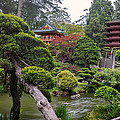Japanese Tea Garden - Golden Gate Park by Adam Romanowicz Japanese Tea Garden - Golden Gate Park by Adam Romanowicz