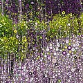 Just Beyond Emerald City Digital Art by Linda Bailey Just Beyond Emerald City Digital Art by Linda Bailey
