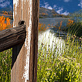 Landscape With Fence Pole by Gunter Nezhoda Landscape With Fence Pole by Gunter Nezhoda