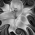 Lirio Dinamico Painting by Ricardo Chavez-Mendez Lirio Dinamico Painting by Ricardo Chavez-Mendez