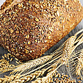 Loaf of multigrain bread 2 Photograph by Elena Elisseeva Loaf of multigrain bread 2 Photograph by Elena Elisseeva