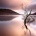 Loch Lomond Photograph by Grant Glendinning Loch Lomond Photograph by Grant Glendinning