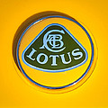Lotus Emblem Photograph by Jill Reger Lotus Emblem Photograph by Jill Reger