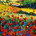 Poppies in Tuscany by Pol Ledent Poppies in Tuscany by Pol Ledent