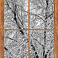 Snowy Tree Branches Barn Wood Picture Window Frame View Photograph by James BO Insogna Snowy Tree Branches Barn Wood Picture Window Frame View Photograph by James BO Insogna