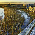 Southport Salt Marsh Walkway #2 Photograph by Nick Noble