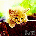 Yellow Kitten Painting by Hailey E Herrera Yellow Kitten Painting by Hailey E Herrera