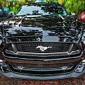 2015 Ford Mustang Gt Painted by Rich Franco 2015 Ford Mustang Gt Painted by Rich Franco