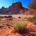 Rainbow Valley Photograph by Bill Robinson Rainbow Valley Photograph by Bill Robinson