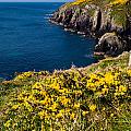 St Non's Bay Pembrokeshire Photograph by Mark Llewellyn St Non's Bay Pembrokeshire Photograph by Mark Llewellyn