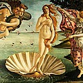 The Birth Of Venus by Sandro Botticelli The Birth Of Venus by Sandro Botticelli
