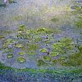 The Water Lilies 4 by Claude Monet The Water Lilies 4 by Claude Monet