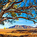 Wilpena Pound Photograph by Bill Robinson Wilpena Pound Photograph by Bill Robinson