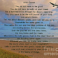 40- Wild Geese Mary Oliver Photograph by Joseph Keane 40- Wild Geese Mary Oliver Photograph by Joseph Keane