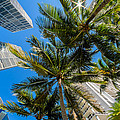 Downtown Miami Brickell Fisheye Photograph by Raul Rodriguez Downtown Miami Brickell Fisheye Photograph by Raul Rodriguez
