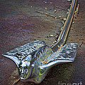 50s Cadillac Hood Ornament #2 Photograph by Ken Johnson 50s Cadillac Hood Ornament #2 Photograph by Ken Johnson