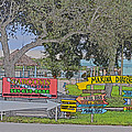 59- Riviera Beach Marina Photograph by Joseph Keane 59- Riviera Beach Marina Photograph by Joseph Keane