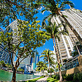 Downtown Miami Brickell Fisheye Photograph by Raul Rodriguez Downtown Miami Brickell Fisheye Photograph by Raul Rodriguez