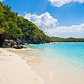 Beautiful Caribbean beach Photograph by Raul Rodriguez Beautiful Caribbean beach Photograph by Raul Rodriguez