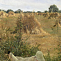 94 Degrees In The Shade, 1876 94 by Sir Lawrence Alma-Tadema 94 Degrees In The Shade, 1876 94 by Sir Lawrence Alma-Tadema