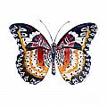 94 Lacewing Butterfly Painting by Amy Kirkpatrick 94 Lacewing Butterfly Painting by Amy Kirkpatrick