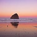 A Beautiful Morning Photograph by Darren White A Beautiful Morning Photograph by Darren White