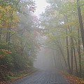 A Foggy Drive by Judy Waller A Foggy Drive by Judy Waller