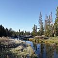A Frosty Morning Along Obsidian Creek by Frank Madia A Frosty Morning Along Obsidian Creek by Frank Madia