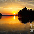 A Golden Moment Photograph by Ken Johnson A Golden Moment Photograph by Ken Johnson