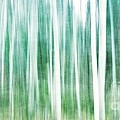A Matter Of Blues Photograph by Priska Wettstein