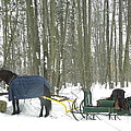 A Moment in Time Photograph by Peggy McDonald A Moment in Time Photograph by Peggy McDonald