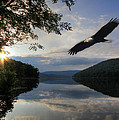 A New Beginning Photograph by Lori Deiter A New Beginning Photograph by Lori Deiter