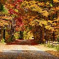 A quiet back road stroll Photograph by Jeff Folger A quiet back road stroll Photograph by Jeff Folger