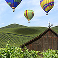 A Ride Through Napa Valley Photograph by Mike McGlothlen A Ride Through Napa Valley Photograph by Mike McGlothlen