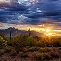 A Sonoran Desert Sunrise Photograph by Saija Lehtonen A Sonoran Desert Sunrise Photograph by Saija Lehtonen